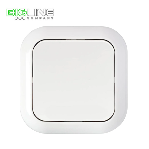 Выключатель С 16-122 I внутренний (60)