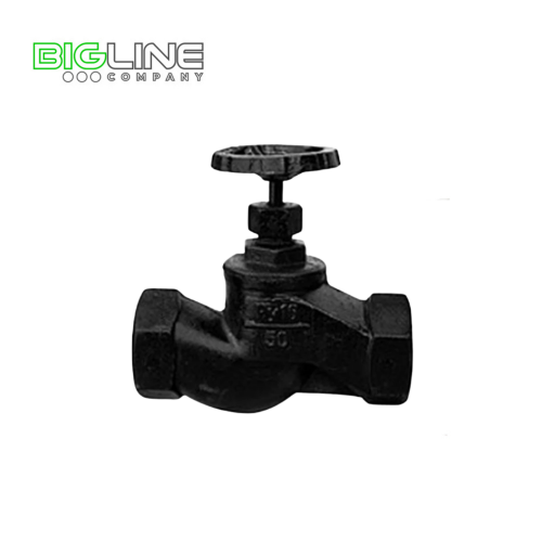 Клапан  запорный чугунный Ду 25 Ру16 мм 15кч18п1 (20)