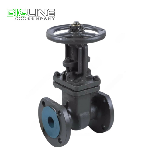 Задвижка с BRDHSB