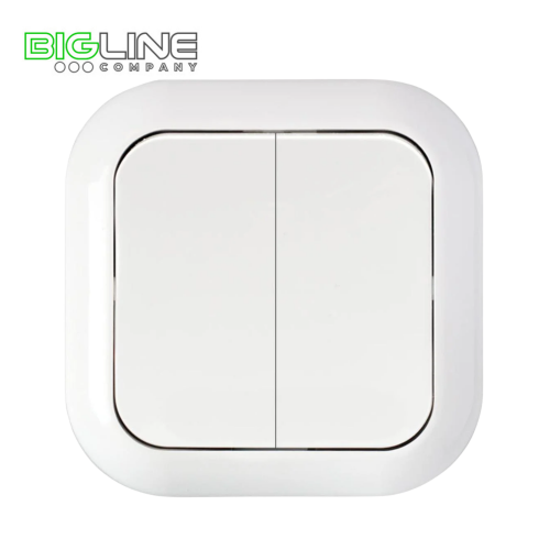 Выключатель С 56-124 II внутренний (55)