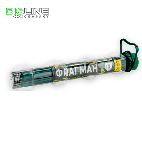 Флагман КАПСУЛА