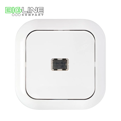 Выключатель С 110-231 I с индикацией (60)