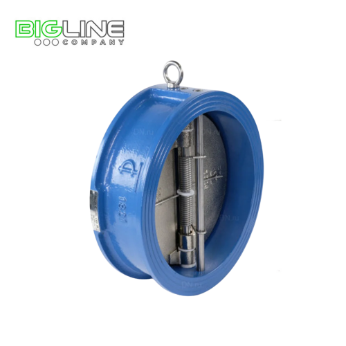 Обратный  клапан ДУ 50 РУ 16 чугун