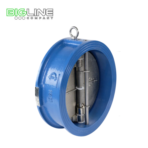 Обратный  клапан ДУ 65 РУ 16 чугун