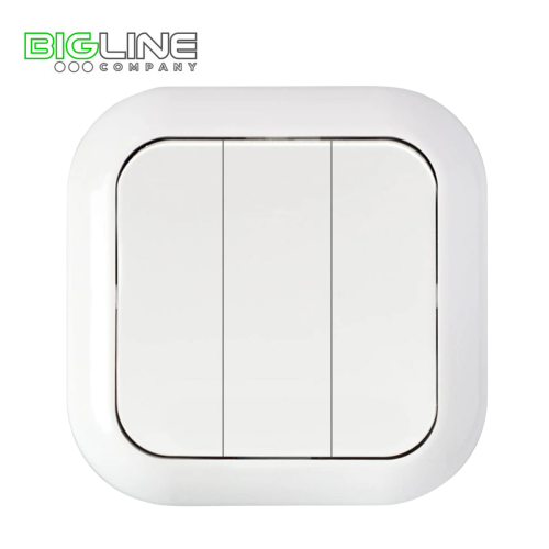 Выключатель С0 56-234 III внутренний (20)