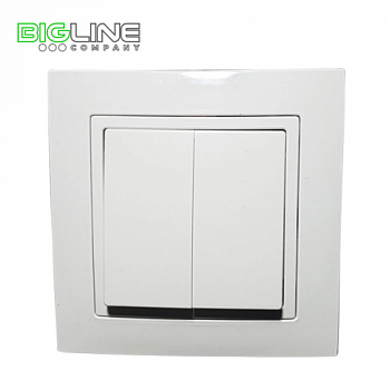 Выключатель С 510-861 II внутр