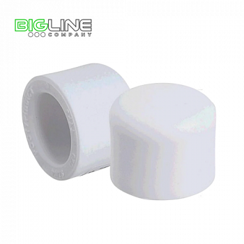 Заглушка PN 25, 20 мм. РТП