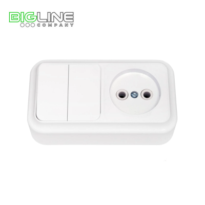 Блок электроустановочный 2В РЦ 523 (54)