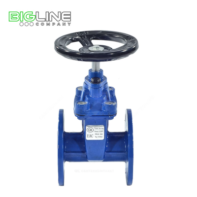 Задвижка чугунная Ду 100 Ру16 фланц 30ч39р аналог RMCX