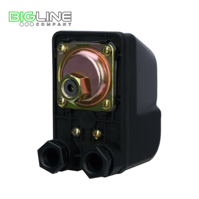 Датчик сухого хода Oasis PC-9G (гайка)