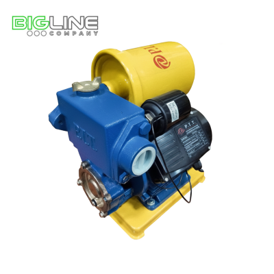 P.I.T. 0138 А  Насос пресс-контроль 600 Вт (1)