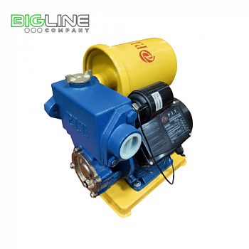 P.I.T. 0138 А  Насос пресс-контроль 600 Вт (1)