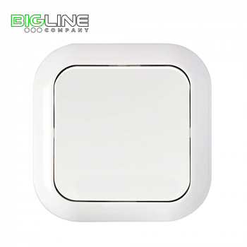 Выключатель С 16-122 I внутренний (60)