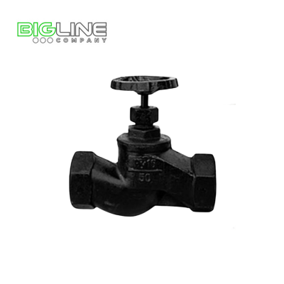 Клапан  запорный чугунный Ду 25 Ру16 мм 15кч18п1 (20)