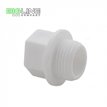Заглушка резьбовая 1 PN 25 белый  РТП (40240)