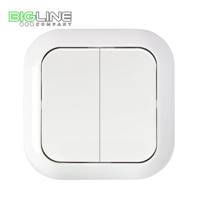 Выключатель С 56-124 II внутренний (55)