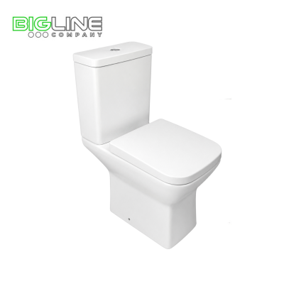 Унитаз-компакт Saniteco SW-135P белый 600*360*810
