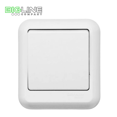 Выключатель А 16-131 I накладной (90)