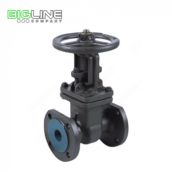 Задвижка 50с BRDHSB