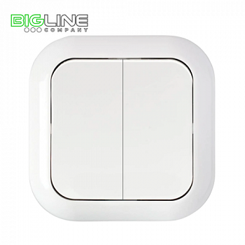 Выключатель С 56-124 II внутренний (55)