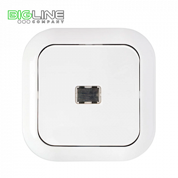 Выключатель С 110-231 I с индикацией (60)