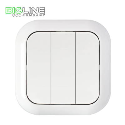 Выключатель С0 56-234 III внутренний (20)