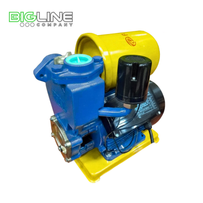 P.I.T. 0136 A Насос пресс-контроль 600 Вт (1)