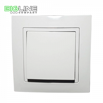 Выключатель С 110-860 I внутр.